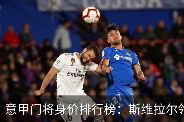 意甲门将身价排行榜：斯维拉尔领衔，迈尼昂位居第三